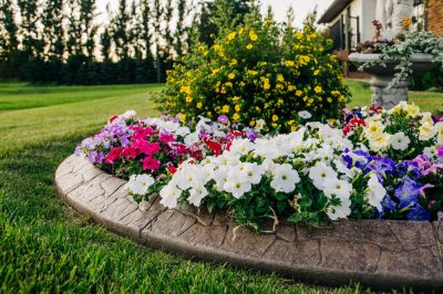 Get Effective Weed and Erosion Control!
